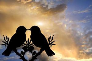 sagoma di una coppia di uccelli innamorati con calma tramonto arancione. a forma di cuore su sfondo pastello e San Valentino. foto