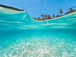 palma tropicale dell'isola e sott'acqua foto