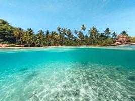 palma tropicale dell'isola e sott'acqua foto