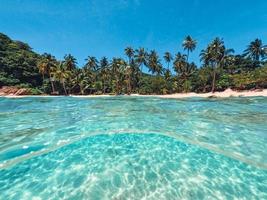 palma tropicale dell'isola e sott'acqua foto