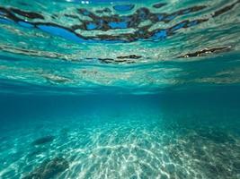 palma tropicale dell'isola e sott'acqua foto