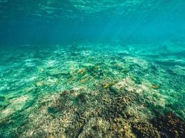 sott'acqua sulla spiaggia dell'isola foto