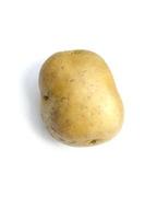 patata isolato su sfondo bianco foto