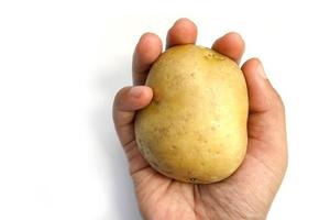 mano che tiene la patata isolata su sfondo bianco foto