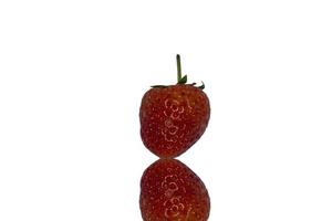 le deliziose e mature fragole rosse sono frutta biologica su sfondo bianco. girato con flash e luci a led, le immagini sembrano nitide nel mio studio di casa su uno sfondo bianco separato.. foto