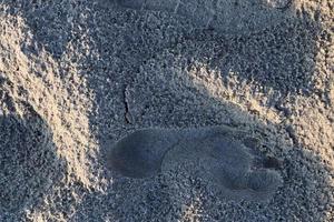 vista ravvicinata dettagliata sulla sabbia su una spiaggia del Mar Baltico foto