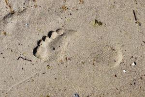 belle impronte dettagliate nella sabbia di una spiaggia durante l'estate. copia spazio sullo sfondo foto