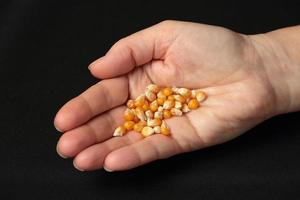 semi di mais nella mano di una ragazza