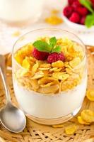 colazione con scaglie di cereali, yogurt e lamponi freschi