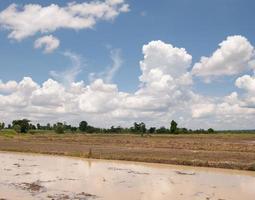 campo arato pronto per la semina foto