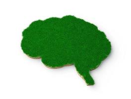 forma del cervello fatta di erba verde e sezione trasversale di struttura del terreno roccioso con illustrazione 3d foto