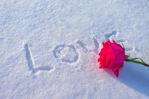 messaggio d'amore nella neve con una rosa accanto foto