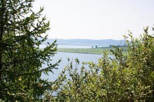 rami di alberi verdi sullo sfondo del lago e delle montagne. foto