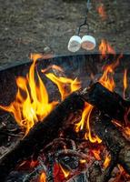 marshmallow arrostiti sul fuoco foto