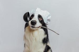 divertente cucciolo di cane border collie in chef che cucina cappello tenendo il cucchiaio da cucina mestolo in bocca isolato su sfondo bianco. chef cane che cucina la cena. concetto di menu del ristorante di cibo fatto in casa. processo di cottura. foto