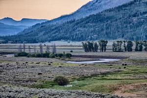 il sole che tramonta sulla valle di lamar vicino all'ingresso nord-est del parco nazionale di Yellowstone nel wyoming. foto