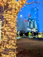 Charlotte NC la mattina presto decorata con luci natalizie foto