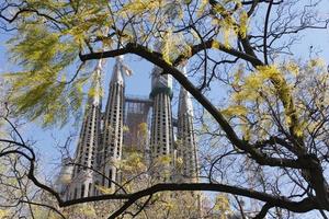 chiesa della Sagrada Familia attraverso le foglie di primavera foto