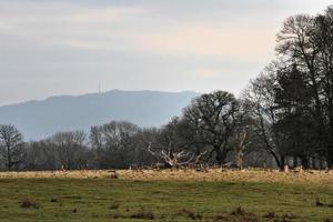 una vista della campagna dello Shropshire vicino a Shrewsbury foto