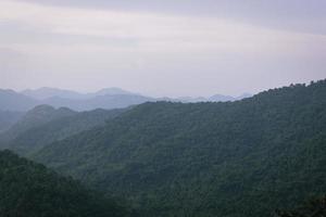 bellissima natura, cielo, alberi, atmosfera serale al parco nazionale di khao yai, tailandia foto