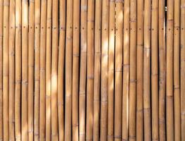 grande immagine della parete di pali di bambù gialli, punto di luce naturale sullo sfondo di struttura del recinto di bambù foto