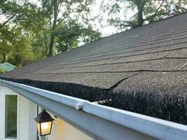 scovolino nero in grondaia pulita con tetto di casa foto