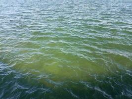 oceano blu e verde o acqua di lago o stagno foto