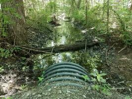 tubo nero e acqua e alberi nella foresta o nei boschi foto