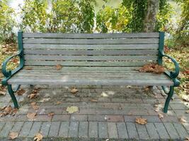 panca in legno in un parco con acqua e foglie foto