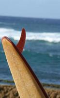 tavola da surf pendente con pinna foto