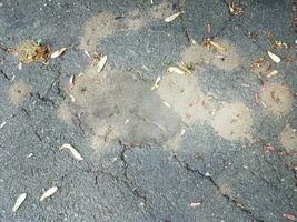 asfalto nero con crepe e formicai sterrati foto
