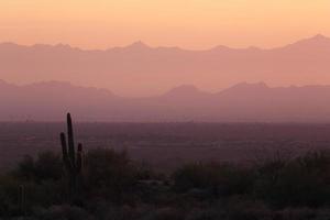 paesaggio e natura del sud-ovest del deserto