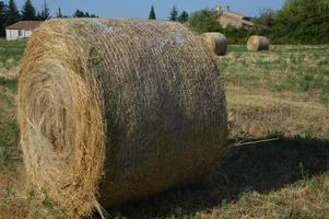 rotolo di fieno nel campo foto