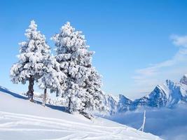 inverno nelle alpi foto