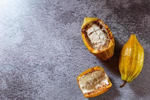 frutto di cacao biologico su sfondo grigio foto