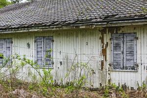 rotta distrutta vecchia casa nella foresta germania. foto