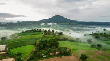 montagne con alberi e nebbia in Thailandia foto