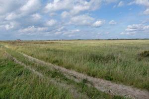 l'isola di Spiekeroog in Germania foto