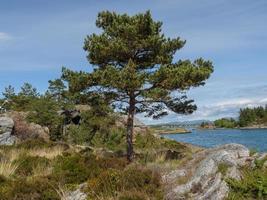 la città di Stavanger foto