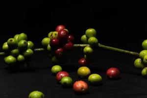 foto di steli di piante di caffè e chicchi di caffè originali freschi su sfondo nero. perfetto per gli elementi di design del barista, della caffetteria e dell'industria del caffè.