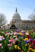 Campidoglio, Washington DC foto