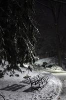 Central Park nella neve, 3 del mattino foto