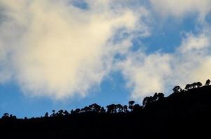 silhouette e cielo di alberi foto