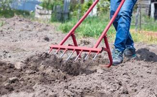 un contadino in jeans scava il terreno con una pala rossa a forma di forchetta. una pala miracolosa, uno strumento utile. coltivatore manuale. il coltivatore è uno strumento manuale efficiente per la lavorazione del terreno. allentare il letto. foto