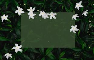 sfondo verde di foglie con fiori bianchi che hanno uno spazio quadrato verde trasparente per il testo. foto