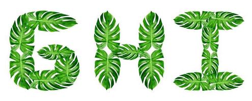 motivo a foglie verdi, alfabeto dei caratteri g, h, i di monstera foglia isolato su sfondo bianco foto