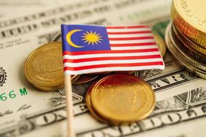 bandiera della Malesia su sfondo di monete, finanza e contabilità, concetto bancario. foto