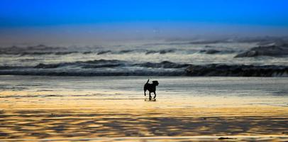 paesaggi incredibili del sudafrica, vedute del sudafrica foto