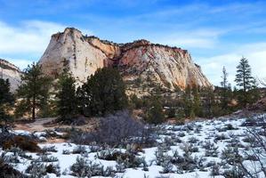 parco nazionale di zion con neve foto