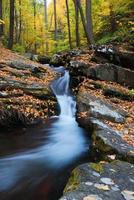 torrente di montagna d'autunno sulle rocce foto